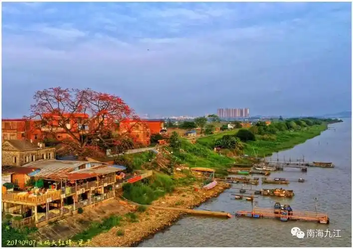 赏红棉品美食吹江风听故事这个旧码头藏着九江最美的旧时光