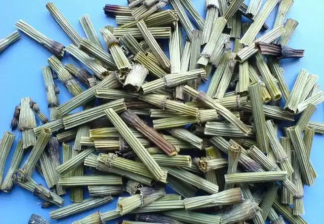 农村不起眼的"节节草",却有2大作用,认识它的都当成宝