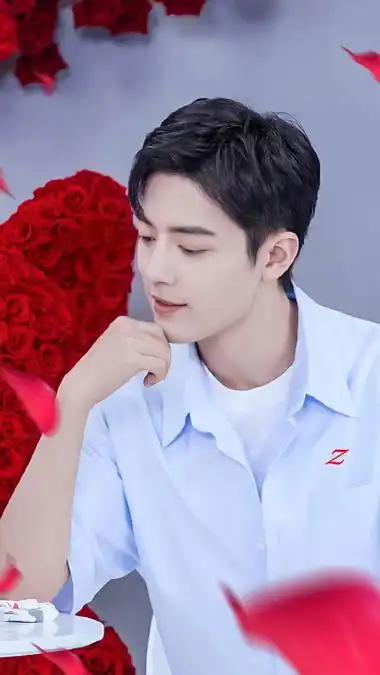 肖战 红玫瑰头像壁纸背景