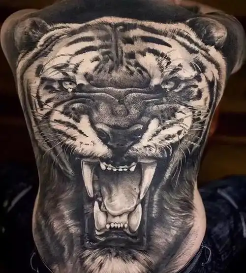 充斥着满背的老虎纹身