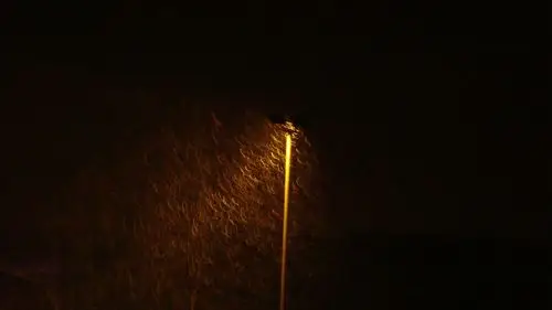夜雨的碎碎念