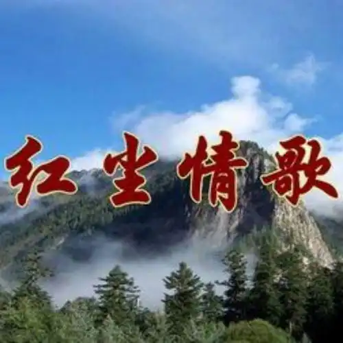 红尘情歌