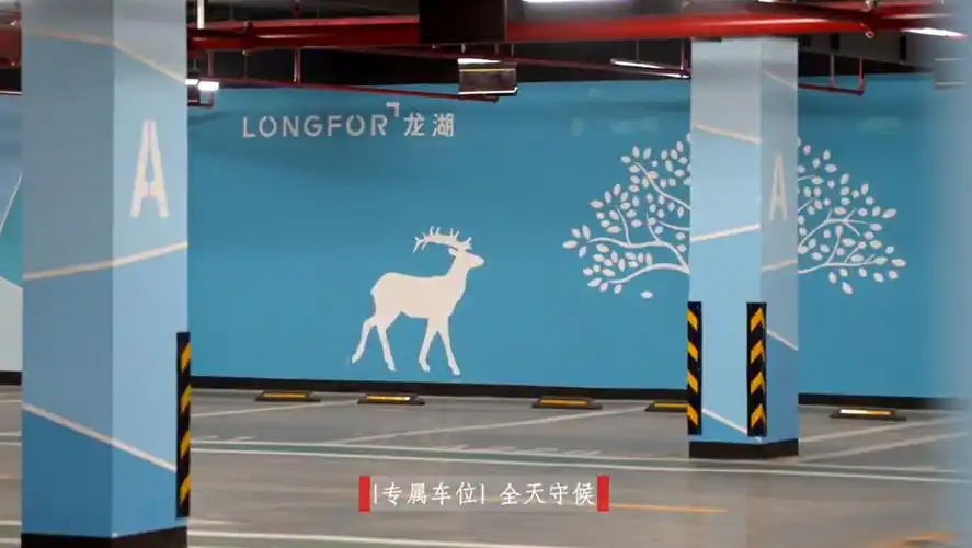 津南谨此艺术车库魔鬼细节诠释龙湖品质