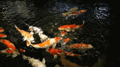 不能什么事都钻牛角尖 - 堆糖,美图壁纸兴趣社区