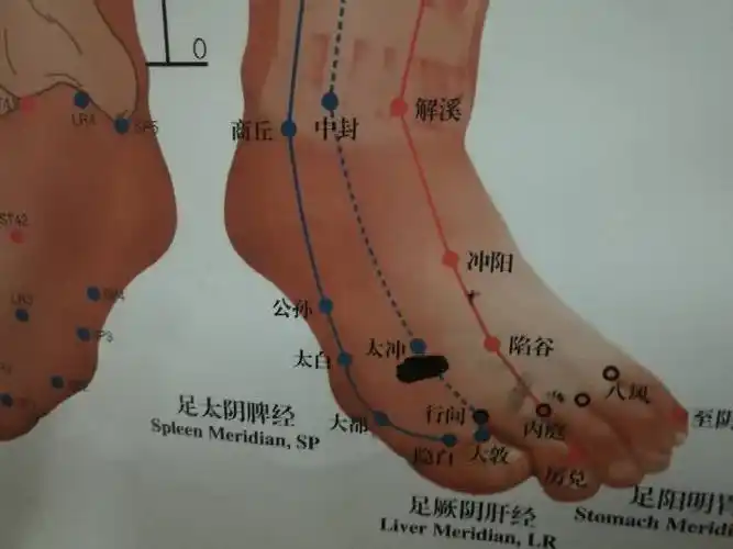 焦虑,多疑,胸闷,易怒,想轻生,常感疲惫,很容易悲伤,是抑郁症吗