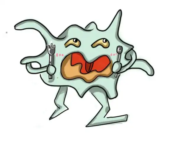 这样我们一个巨噬细胞画好了,下节课来画例图中的另一个物体的拟人化