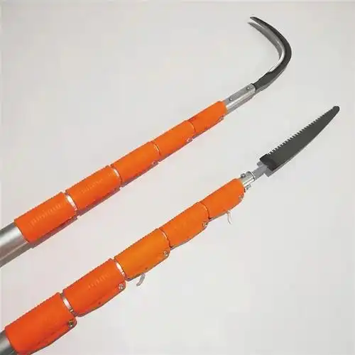 提醒槟榔值钱但采摘时务必注意这一点