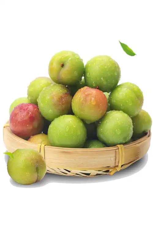 酸脆爽 李子2斤三月珍珠李子新鲜当季现摘孕妇 水果青三华李