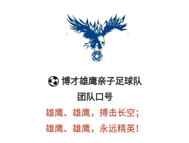 博才雄鹰亲子足球队! ------- 成功组队!