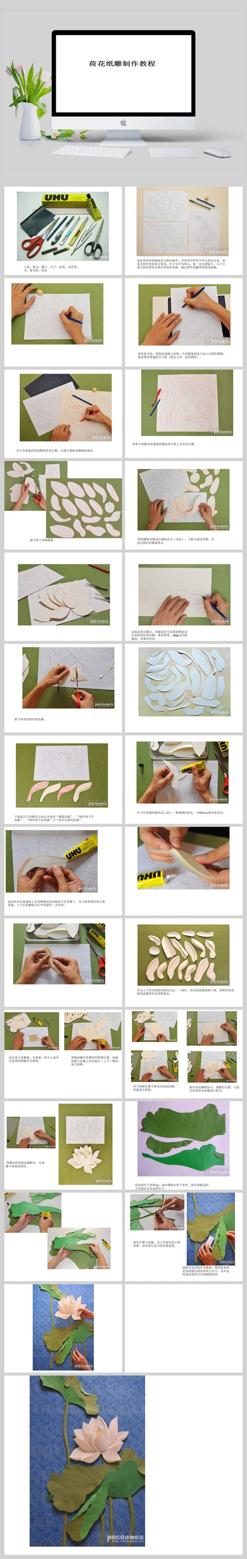 荷花纸雕制作教程ppt课件