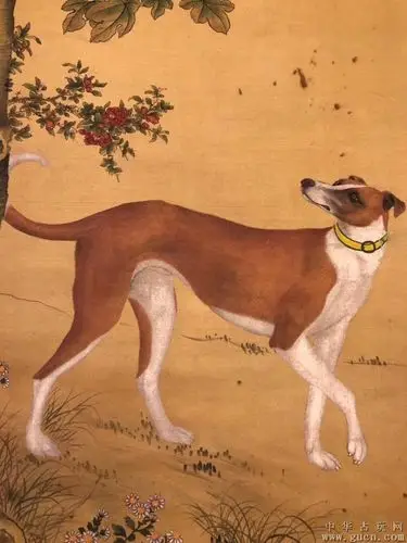 郎世宁绢本神犬图