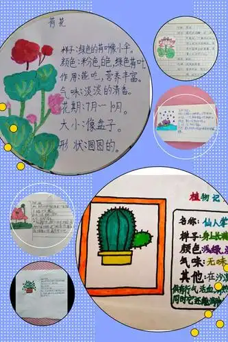 第一单元习作:我的植物朋友