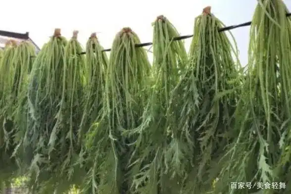 雪里红怎样腌制不变色?颜色脆嫩,放置6个月都不坏