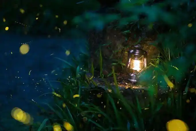 七月流火指的是什么