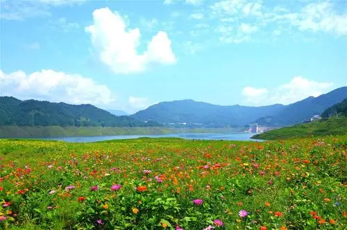 洪雅居然藏了一个若尔盖花海湖泊高山草甸美的不要不要的