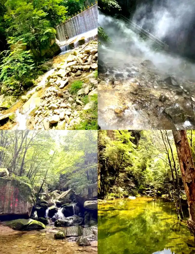 龙峪湾国家森林公园 99龙峪湾国家森林公园,坐落于洛阳栾川县庙子镇