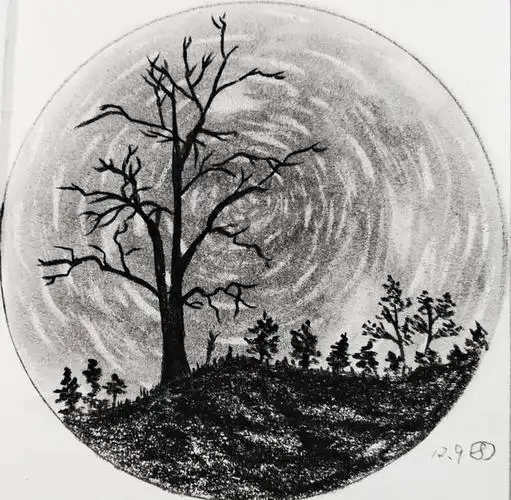 仰望同一方星空