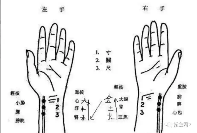 三指定乾坤:最全的入门脉诊知识详细图解|辨脉法|脉象|脉法|伤寒论