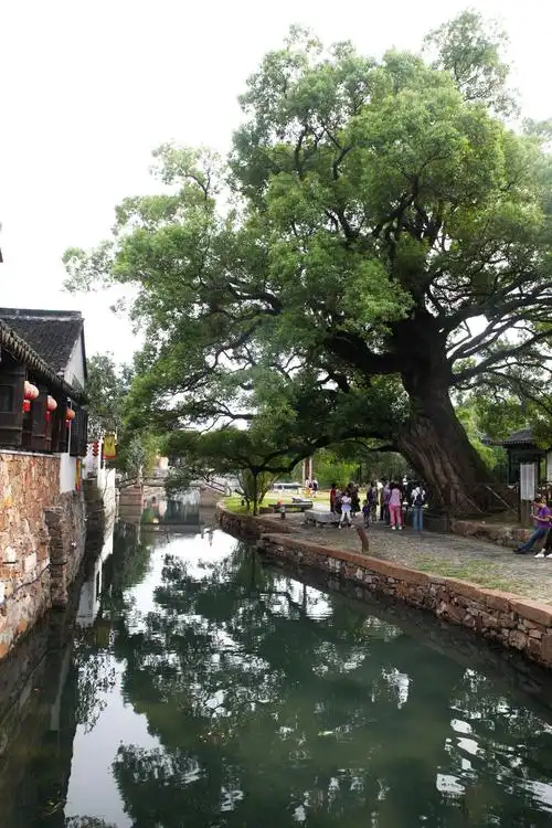 苏州明月湾古村__凤凰网