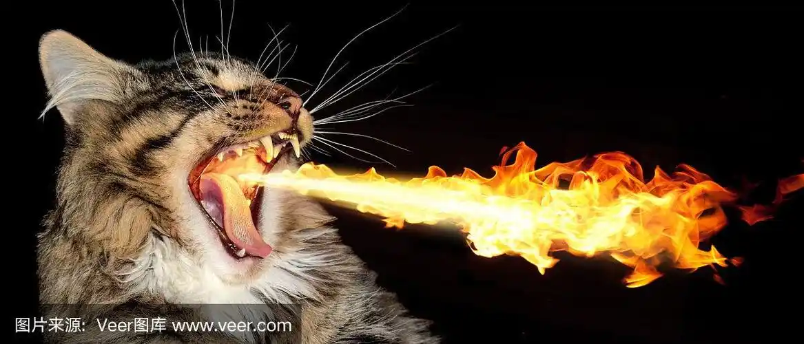 喷火的猫