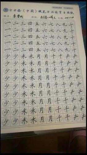 欢迎方中格,入驻芦柞鲁红艺校,现已火爆招生中.