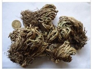 中药材花草茶 九死还魂草 卷柏 打不死长命草,长生不死草