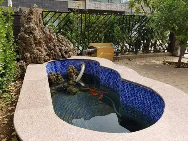 庭院鱼池设计成败八大要素