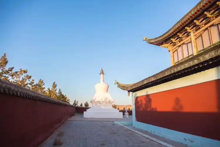 19岁被选定转世活佛所在寺院遭洗劫与拆除丢失大量文物