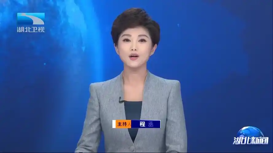 湖北省委召开专题会议,研究推进全省供应链体系建设_澎湃号·媒体