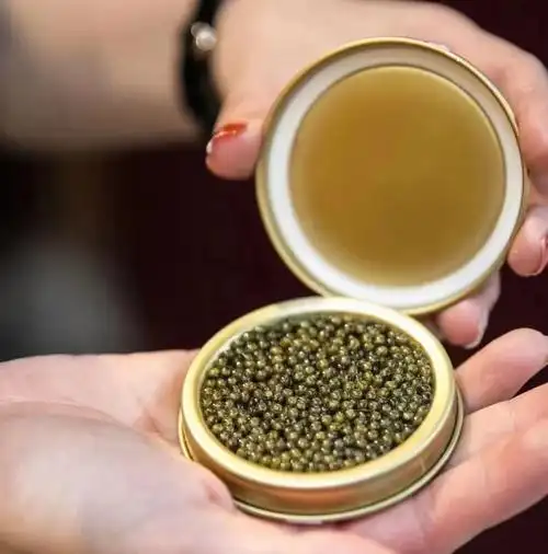 鲟鱼子酱是鲟龙鱼的鱼籽制成,一般都采收鱼龄7年以上的鲟鱼鱼卵,鱼龄