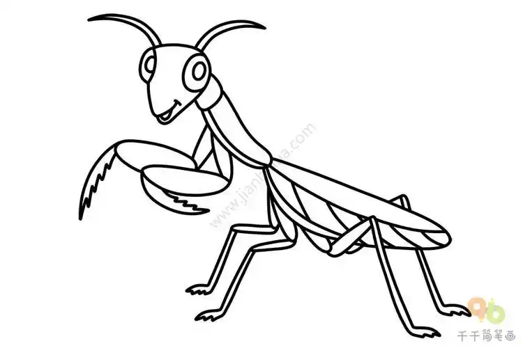 螳螂简笔画教程昆虫简笔画小螳螂简笔画画法小螳螂简笔画步骤图