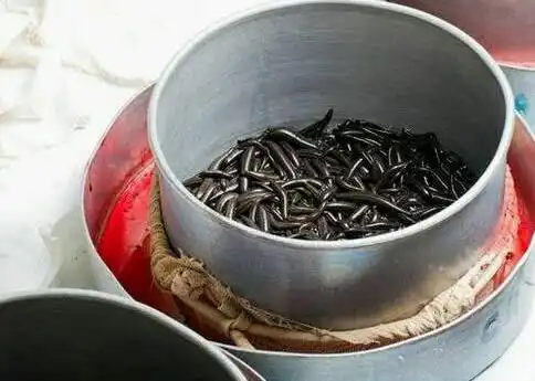 苗人养蛊放蛊确有其事,真有传说的那么神奇?真的很玄!