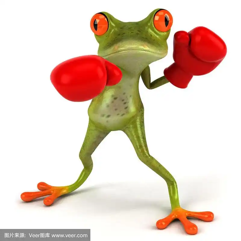 拳击,青蛙,野生动物,绘画插图,方形画幅