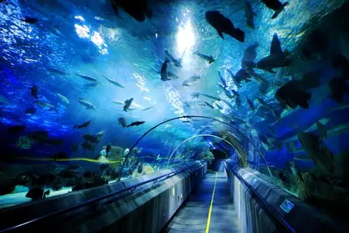 上海直飞大连3-4日浪漫自由行(2-3晚优选酒店 15kg行李额 赠旅游意外