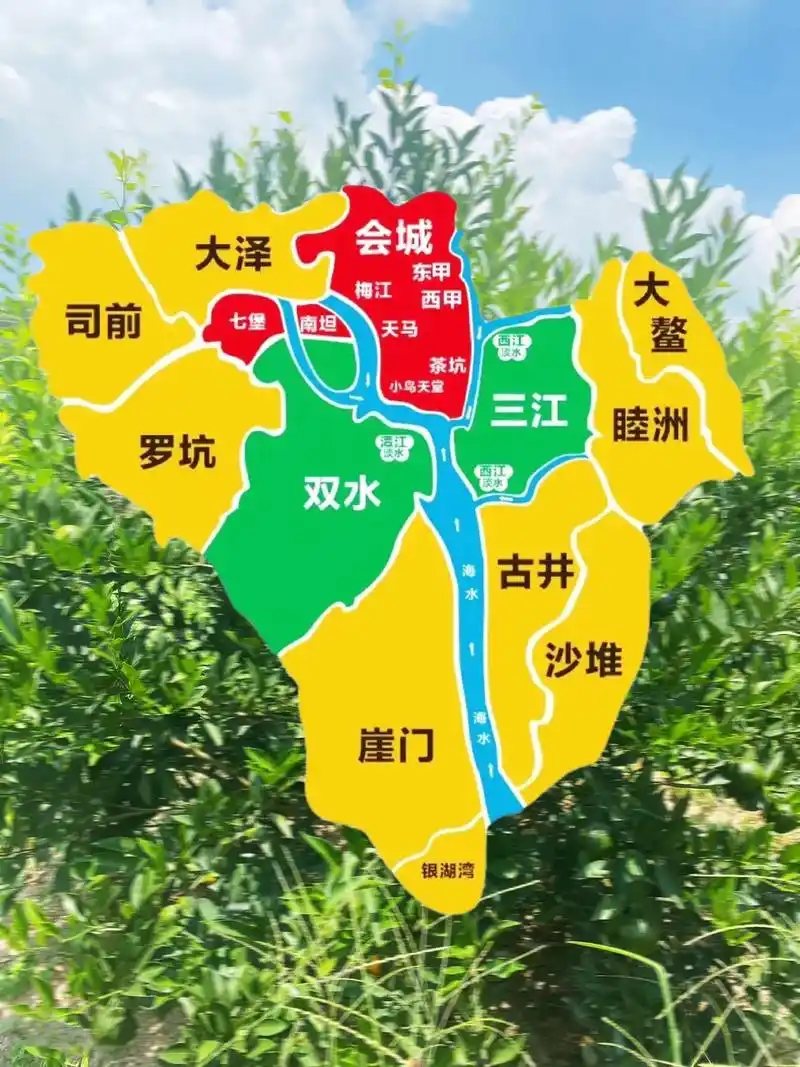 31566秒告诉你新会陈皮有哪些产区7515.