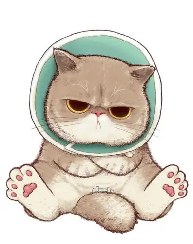 可爱猫咪表情包cr魏大葱有木瓜 - 堆糖,美图壁纸兴趣社区