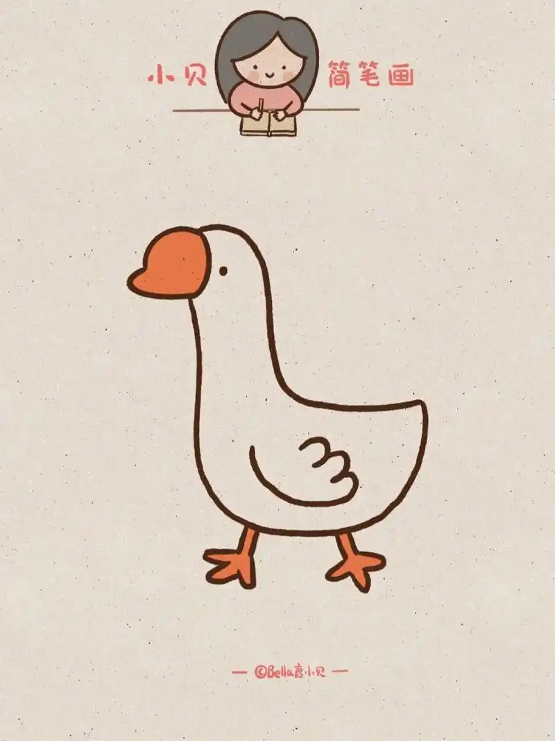 小贝简笔画-鹅 鹅是食草禽,全身都是宝,羽毛是富贵华丽的服装,鹅肝是