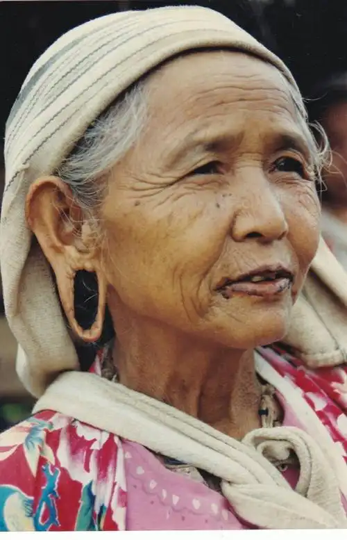 他们告诉我,插的花越多耳洞就越大.我想,有道理.