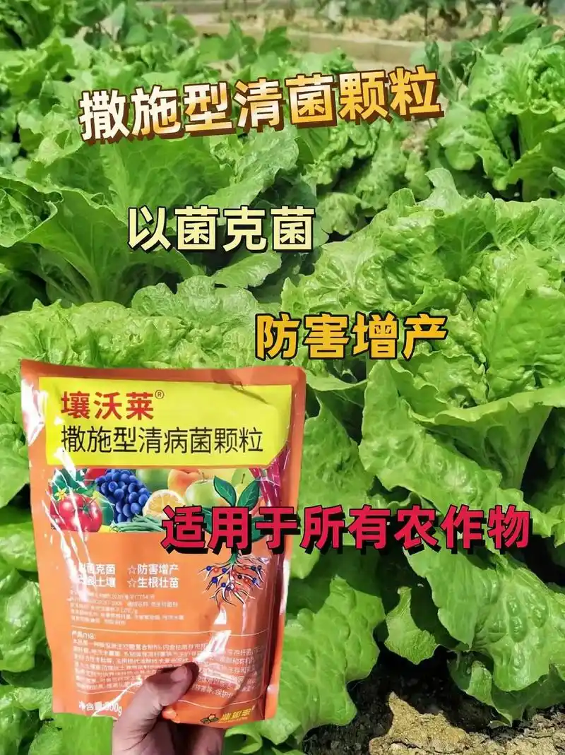 兆如丰壤沃莱清病菌颗粒撒施型防病害瓜果蔬菜大田作物通用颗粒剂啦!