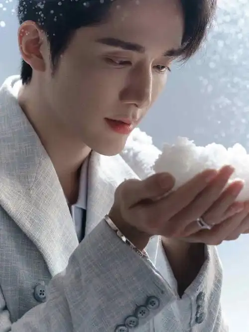 想给张新成点一首彩云之南