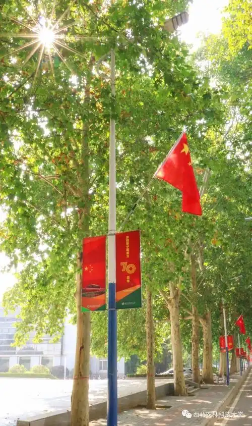 燃烧出希望的火焰在风里招展五星红旗向远方飘扬以天湛蓝为底色手机