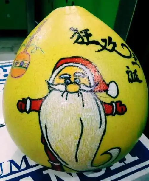 郭金芳艺术范———柚子彩绘篇