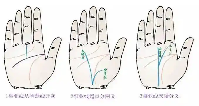 2017事业发展!来看手相图解事业线!