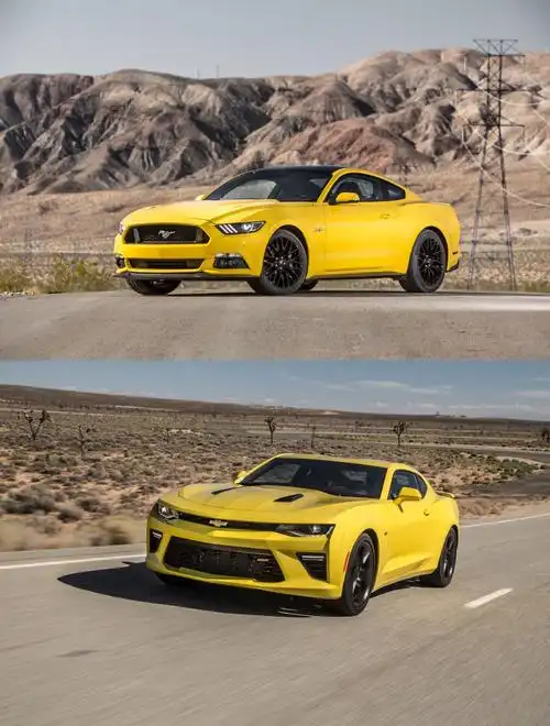 这次我们只是大片的搬运工大黄蜂vs野马