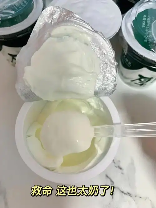 第一次喝这种希腊式酸奶我直接爱上了