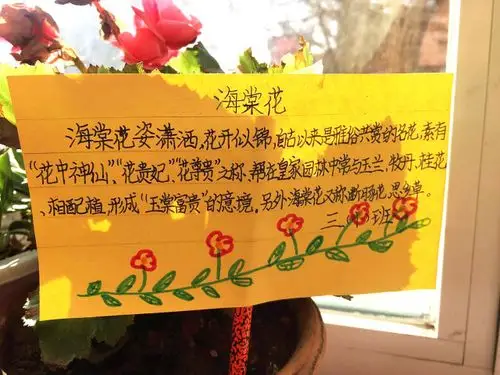 花卉品种繁多,有千娇百媚的海棠,鲜艳似火的一品红,一枝独秀的鸿运