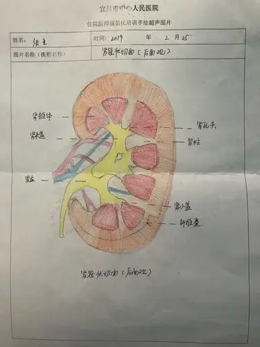 其它 中心医院超声科2019年2月住陪学员手绘图片 写