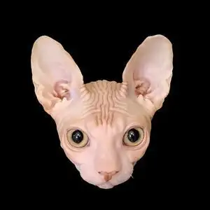 斯芬克斯吖头像