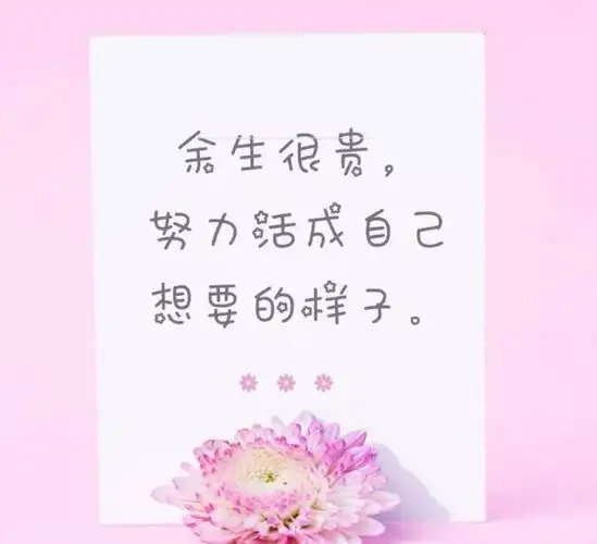 努力的意义就是,在以后的生活里,放眼望去,都是自己喜欢的人和事!