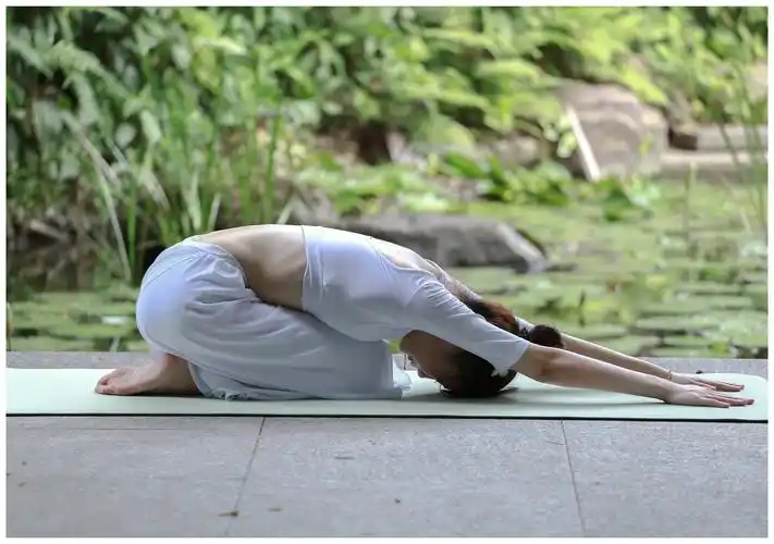 瑜伽～～ 红颜不易老,美丽怎能少?